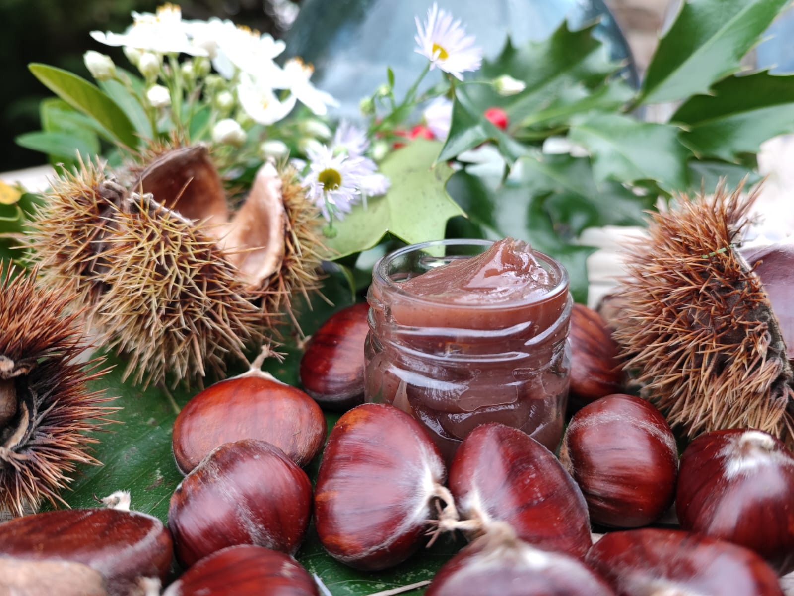 La châtaigne dans tous ses états : 4 recettes à tester - Porte Océane